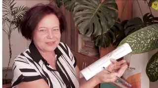О нектарниках