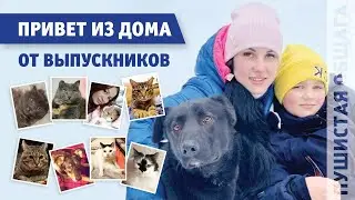 ПРИВЕТЫ ИЗ ДОМА ОТ ВЫПУСКНИКОВ