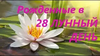 Рожденные в 28 лунный день