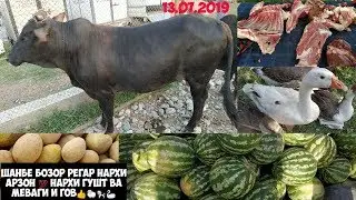 МОЛ БОЗОРИ РЕГАР/ШАНБЕ БОЗОР РЕГАР нархи гӯсфанди ҳисорӣ ва гов 13.07.2019