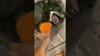 Супер примета❗️Если Вы посмотрели нас - День Ваш заладится,обещаю🤗❤️