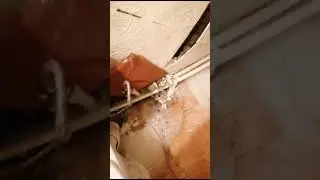 Лед нарастает прямо из стен в коридоре квартиры