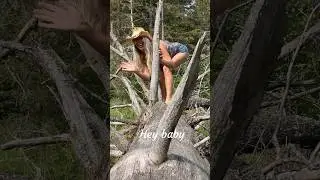 A Balancing Act ~ #music #balance #dance #nature #cover