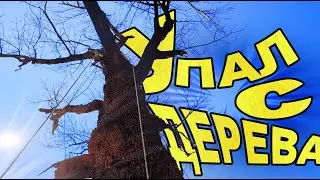 Упал с дерева с бензопилой!