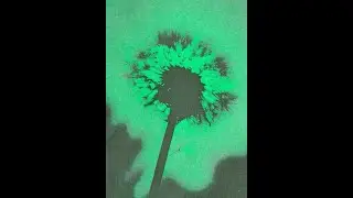 (FREE) Teto x Earkid x Wiu Type Beat 