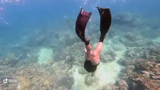 Plus Size Freediving
