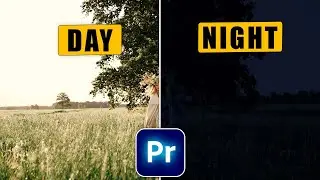 How to Convert DAY To NIGHT in Premiere Pro