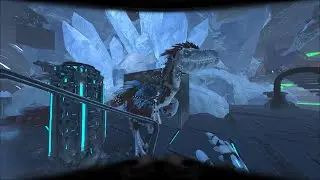 Solo Alpha Dragon 1x Official PVP
