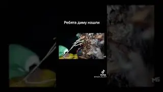 посмотрите описание пж