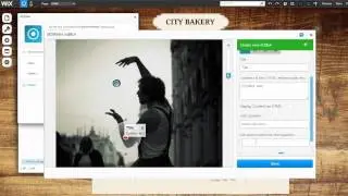 WIX dOtlink