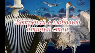 В мире животных новостей.. Если ты любишь пернатых то это видео для тебя!!!:::