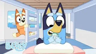 Ridere con Bluey e Bingo 😂 | Bluey Italiano Canale Ufficiale