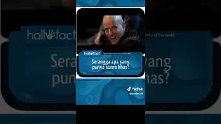 Quiz, Jawaban yang aneh