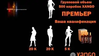Бизнес Ксанго