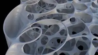 Circle parameter