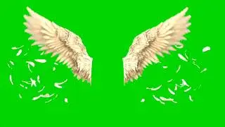 Angel wings green screen effect