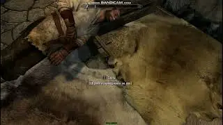 Bug in the Game The Elder Scrolls 5 Skyrim      SkyrimSE 2023 06 02 14 42 12 941