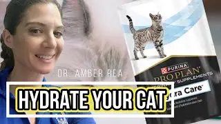 Purina Hydra Care: Help your cat stay Hydrated