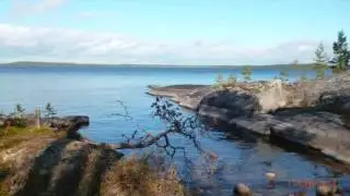 Охота 1