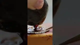 This luxury watch is put together using insect secretion!