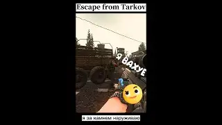 Ебнутый Дикий в Таркове 