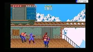SNES, SEGA MEGA DRIVE EMU ON PS2  NA PS2