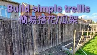how to build a simple trellis on your fence 在圍牆上搭製建議/架