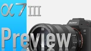 Sony a7iii Preview