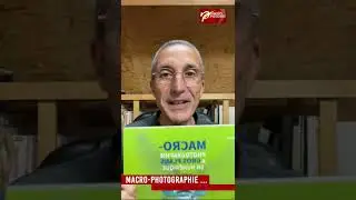 Macrophotographie & gros plans en numérique par Ross Hoddinott