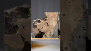 Stop Motion Wood Magic - 200 Slices