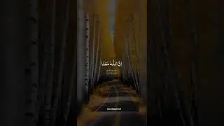 ان اللّٰہ معنا Quran For Happiness