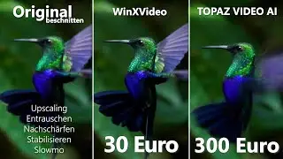 Superscharfe Videos mit 1 Klick? WinXVideo AI vs. TOPAZ VIDEO AI