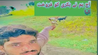 aaj hum nay bakrey  ko firokht kiya