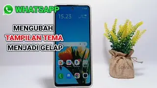 How to Change the Theme Display to Dark in the WhatsApp Application