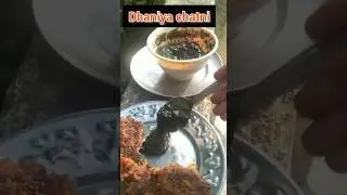 Dhania  Chatni