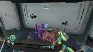 Subnautica Gary the hover fish
