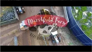 Marshfield Farm Ice Cream | Winter feeding 218