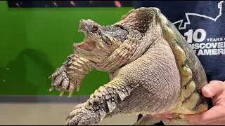 Reptile Rendezvous, Scales & Shells with Eric Rosenthal – TN WildCast 347