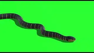 green screen snake animation | snake green screen | snake 🐍 green screen video 