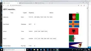 5 Working with Rest Countries API Using Python Django