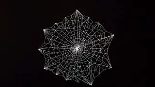 Free Full HD Spider Web Green Screen & Black Screen
