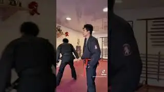 ZU DORI , #ninjatraining #bujinkan #ninjutsuparatodos #youtubeshorts #artesmarciales