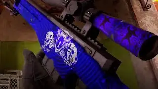 AWP sun in leo sticker combo CS2