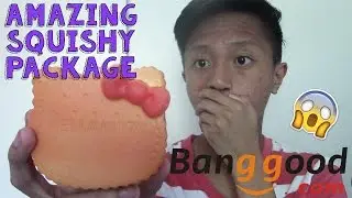 AMAZING SQUISHY PACKAGE!!! | Banggood.com | iSquishies