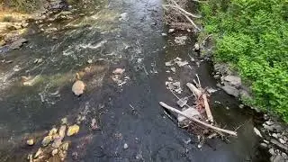 Wissahickon Creek