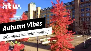 Autumn Vibes @ Campus Wilhelminenhof