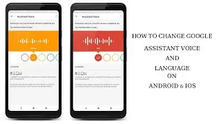 How to Change Google Assistant Voice and Language on Android, iOS