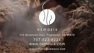 Osmosis Day Spa Sanctuary WebAdz