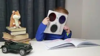 Що ховається у лісі