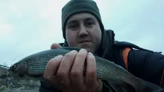 SPRING GRAYLING 2022.